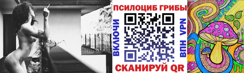 цены наркотик  Стрежевой  Псилоцибиновые грибы MAGIC MUSHROOMS 