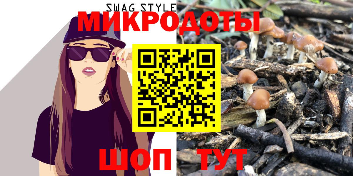 Псилоцибиновые грибы Cubensis Стрежевой