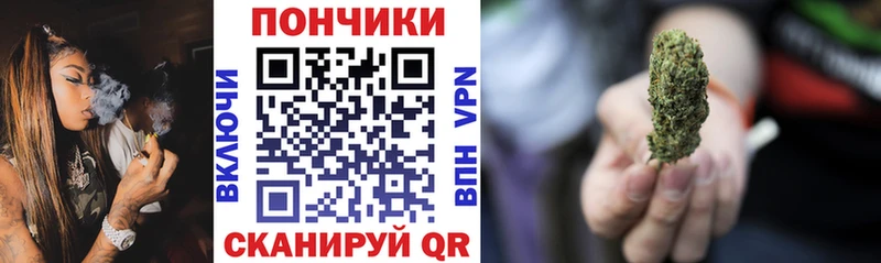 Шишки марихуана Amnesia  где купить наркоту  Стрежевой 
